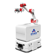 Composite robot